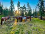 8571 Sun Canyon Lodge Road - Photo 127