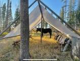 8571 Sun Canyon Lodge Road - Photo 128