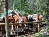 8571 Sun Canyon Lodge Road - Photo 130