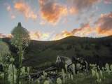 8571 Sun Canyon Lodge Road - Photo 136