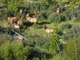 8571 Sun Canyon Lodge Road - Photo 140