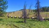 8571 Sun Canyon Lodge Road - Photo 156