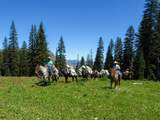 8571 Sun Canyon Lodge Road - Photo 160