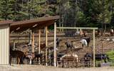 8571 Sun Canyon Lodge Road - Photo 91