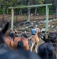8571 Sun Canyon Lodge Road - Photo 99