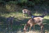NHN Haskill Ranch Road - Photo 11