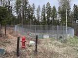 NHN Haskill Ranch Road - Photo 21