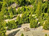 NHN Haskill Ranch Road - Photo 4