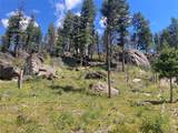 3595 Bear Gulch Road - Photo 10