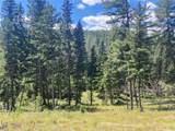 3595 Bear Gulch Road - Photo 11
