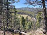 3595 Bear Gulch Road - Photo 20