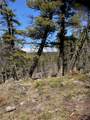 3595 Bear Gulch Road - Photo 21