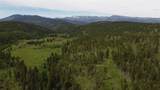3595 Bear Gulch Road - Photo 29
