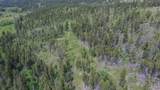3595 Bear Gulch Road - Photo 31