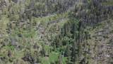 3595 Bear Gulch Road - Photo 47