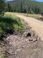 3595 Bear Gulch Road - Photo 5