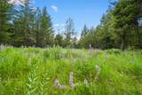 1895 Kienas Road - Photo 8
