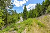 64 Lone Wolf Trail - Photo 11