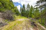64 Lone Wolf Trail - Photo 12