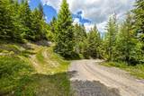 64 Lone Wolf Trail - Photo 13
