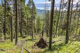 64 Lone Wolf Trail - Photo 4