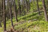 64 Lone Wolf Trail - Photo 5