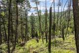 64 Lone Wolf Trail - Photo 6