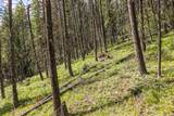 64 Lone Wolf Trail - Photo 7