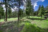 865 Lone Osprey Ridge - Photo 4