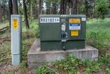 865 Lone Osprey Ridge - Photo 7