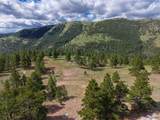 2270 Lynx Trail Drive - Photo 3