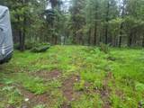 104 Lone Wolf Trail - Photo 3
