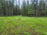 104 Lone Wolf Trail - Photo 4