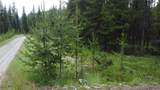 104 Lone Wolf Trail - Photo 46