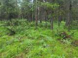104 Lone Wolf Trail - Photo 48