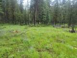 104 Lone Wolf Trail - Photo 5