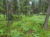 104 Lone Wolf Trail - Photo 6