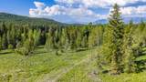 NHN Fortine Creek Road - Photo 32