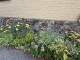 231 6th Street - Photo 45