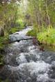 31200 Ninemile Road - Photo 2