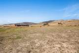 25652 Caye Drive - Photo 34