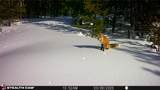 357 Ontario Drive - Photo 50