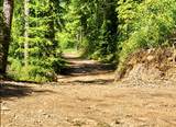 Nhn Hope Valley Road - Photo 37