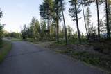 NHN Glacier Hills Drive - Photo 36