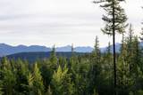 NHN Glacier Hills Drive - Photo 40