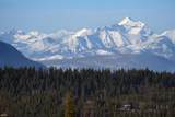NHN Glacier Hills Drive - Photo 42