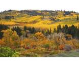 1 Boulder Drive - Photo 45