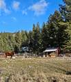 189 Buffalo Bill Road - Photo 20