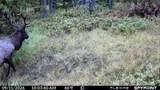 357 Ontario Drive - Photo 1