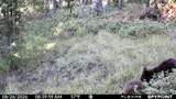 357 Ontario Drive - Photo 17